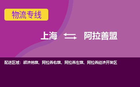 上海到阿拉善盟物流专线服务-物流专线量大价优「安全高效」