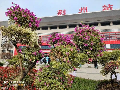 北京到荆州物流公司-北京至荆州物流专线-货运公司