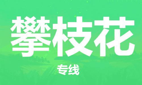 成都到攀枝花物流公司_成都到攀枝花物流专线