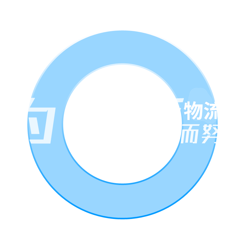 国内主流城市物流与运输服务
